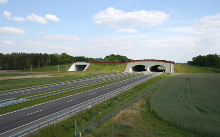 Zdjęcia na www (1924x1200) (2)