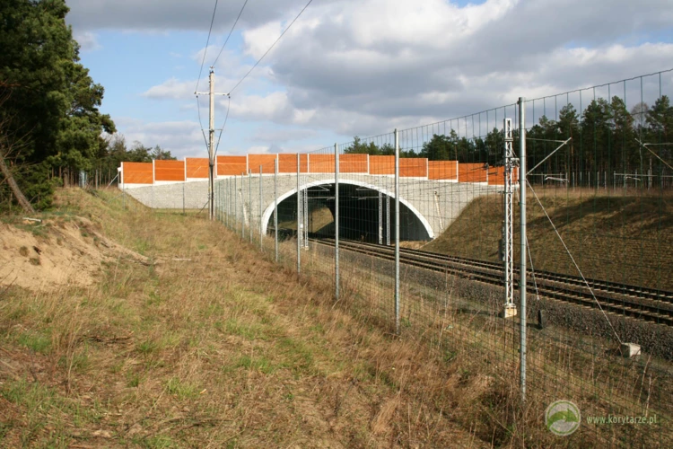 26-W 2007 r. powstały dwa przejścia górne nad linią kolejową E20, odcinek: Rzepin-Kunowice