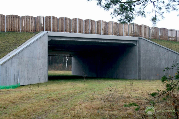 5-Typowe przejścia dolne dla średnich zwierząt o konstrukcji betonowej przy autostradzie A1, odcinek:...