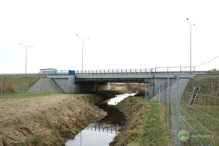 30-Przejścia dolne dla średnich zwierząt zespolone z ciekami w ciągu autostrady A2, odcinek: Września-Konin...