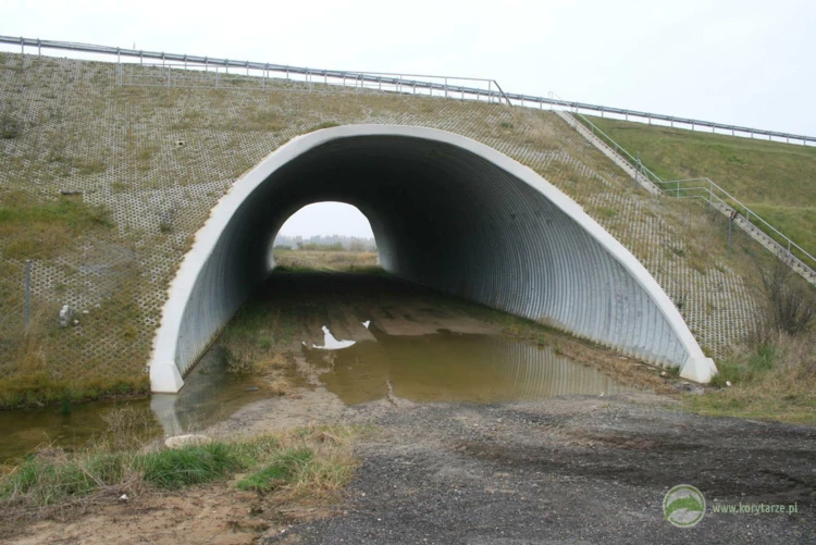 55-Przejście dolne dla średnich zwierząt pod drogą ekspresową S-3, odcinek: Pyrzyce-Gorzów Wlkp....