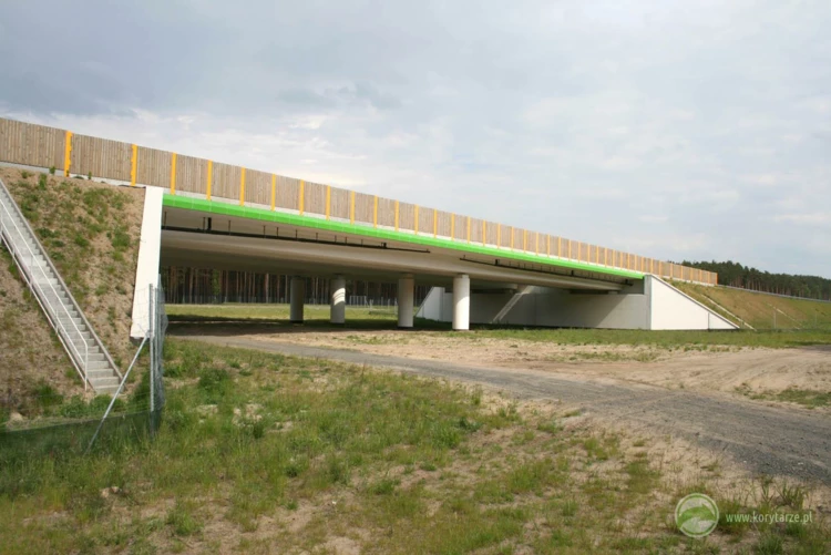 80-Przejścia dolne dla dużych zwierząt pod drogą ekspresową S-3, odcinek: Gorzów Wlkp.-Międzyrzecz...