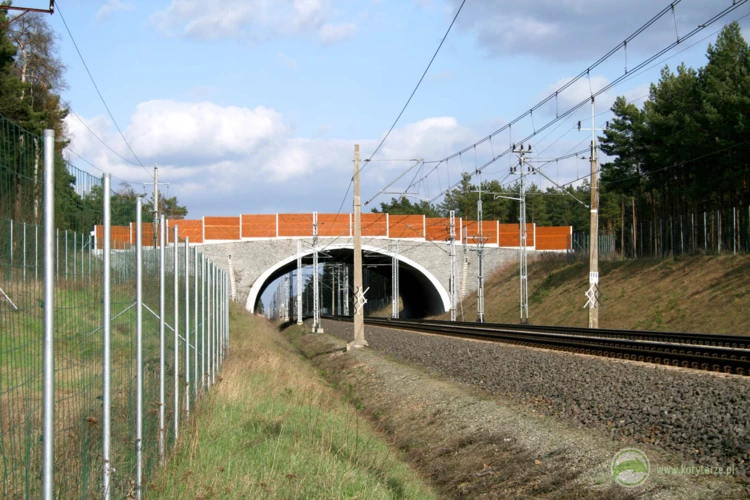 27-W 2007 r. powstały dwa przejścia górne nad linią kolejową E20, odcinek: Rzepin-Kunowice