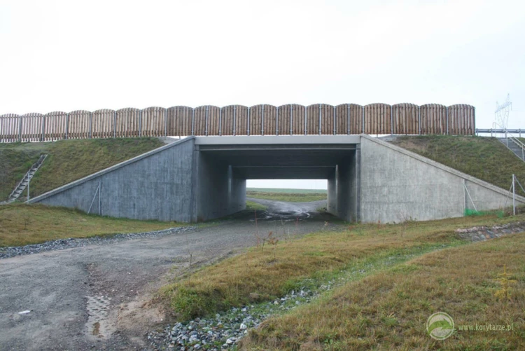 6-Typowe przejścia dolne dla średnich zwierząt o konstrukcji betonowej przy autostradzie A1, odcinek:...
