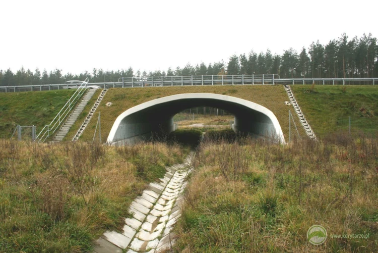 56-Przejście dolne dla średnich zwierząt pod drogą ekspresową S-3, odcinek: Pyrzyce-Gorzów Wlkp....