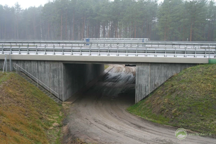 7-Przejazd gospodarczy spełniający dodatkowo funkcje zespolonego przejścia dla średnich zwierząt...