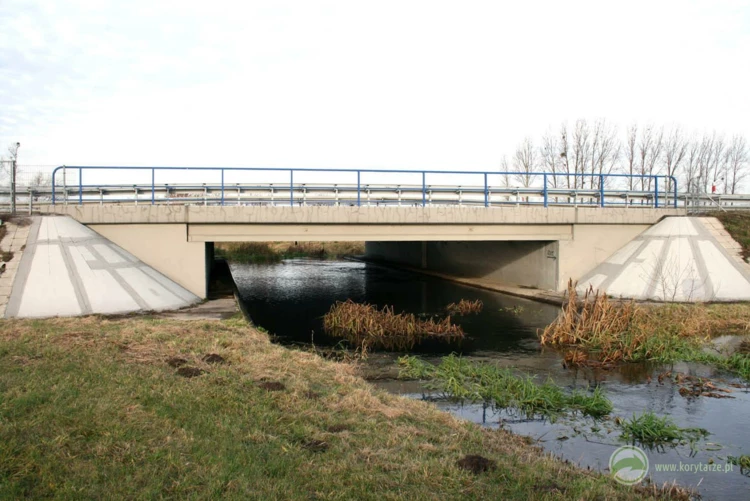 32-Przejścia dolne dla średnich zwierząt zespolone z ciekami w ciągu autostrady A2, odcinek: Września-Konin...