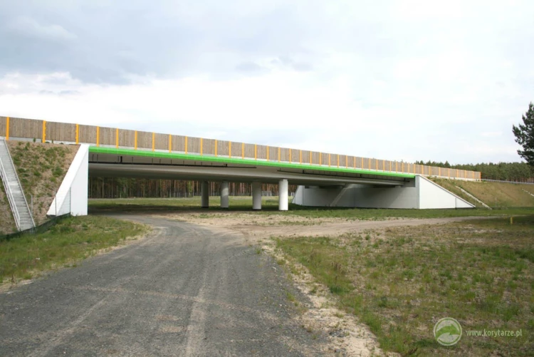 82-Przejścia dolne dla dużych zwierząt pod drogą ekspresową S-3, odcinek: Gorzów Wlkp.-Międzyrzecz...