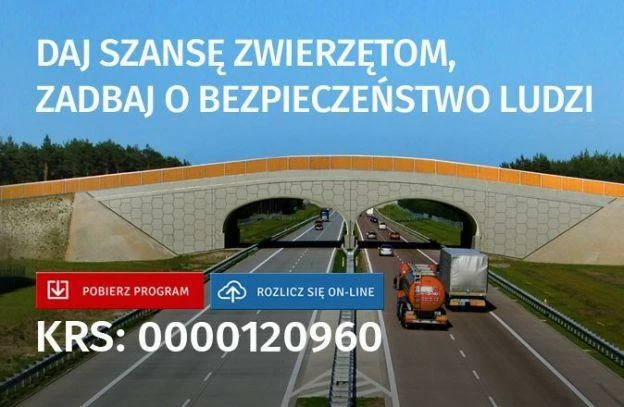 korytarze-1-procent-baner-624.jpg