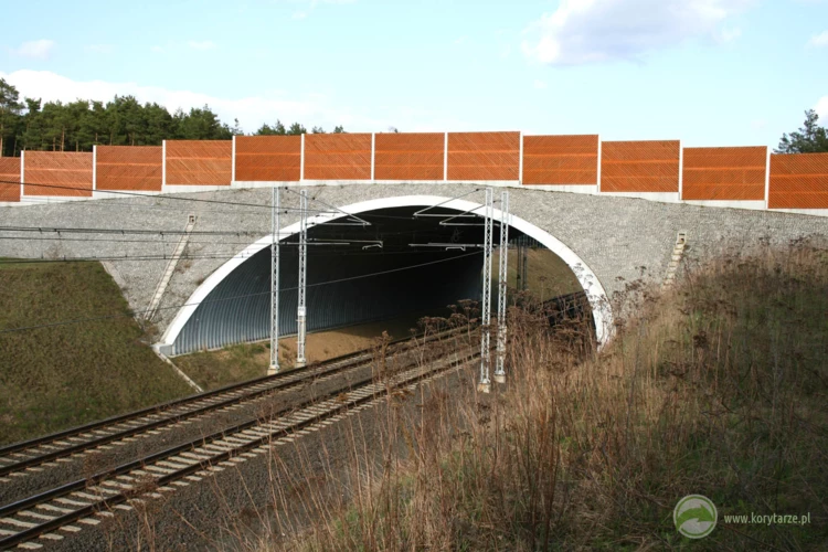 29-W 2007 r. powstały dwa przejścia górne nad linią kolejową E20, odcinek: Rzepin-Kunowice
