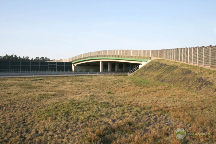 79-System górnych przejść przy autostradzie A4, odcinek: Tarnów-Rzeszów tworzy łącznie 6 obiektów...