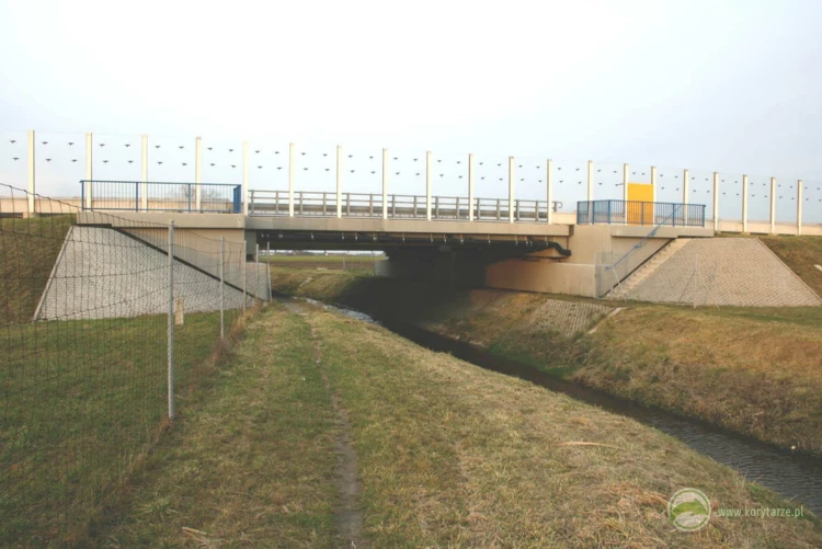 33-Przejścia dolne dla średnich zwierząt zespolone z ciekami w ciągu autostrady A2, odcinek: Września-Konin...