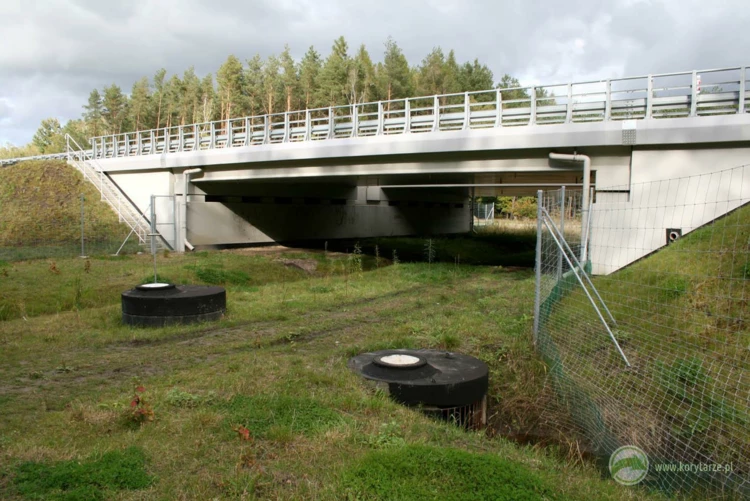 58-Przejście dolne dla średnich zwierząt pod drogą ekspresową S-3, odcinek: Pyrzyce-Gorzów Wlkp....
