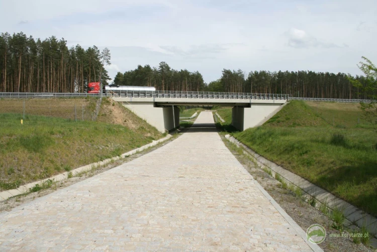 83-Wiadukt dla drogi lokalnej pod drogą ekspresową S-3, odcinek: Międzyrzecz-Sulechów