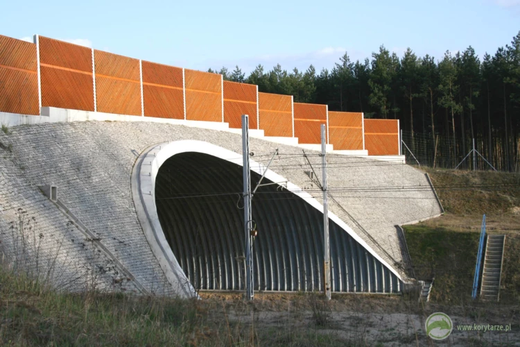 30-W 2007 r. powstały dwa przejścia górne nad linią kolejową E20, odcinek: Rzepin-Kunowice