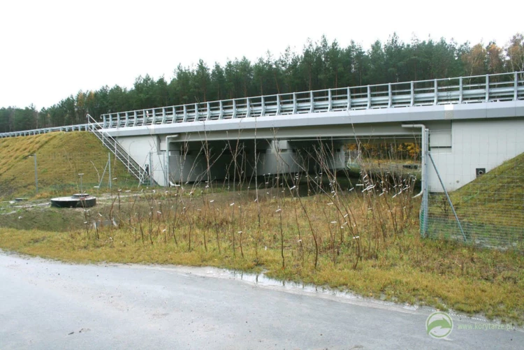 59-Przejście dolne dla średnich zwierząt pod drogą ekspresową S-3, odcinek: Pyrzyce-Gorzów Wlkp....