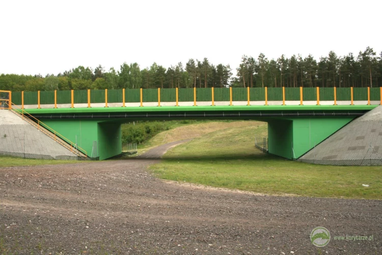 109-Przejście dolne dla średnich zwierząt zespolone z droga gospodarczą w ciągu drogi DK24, odcinek:...