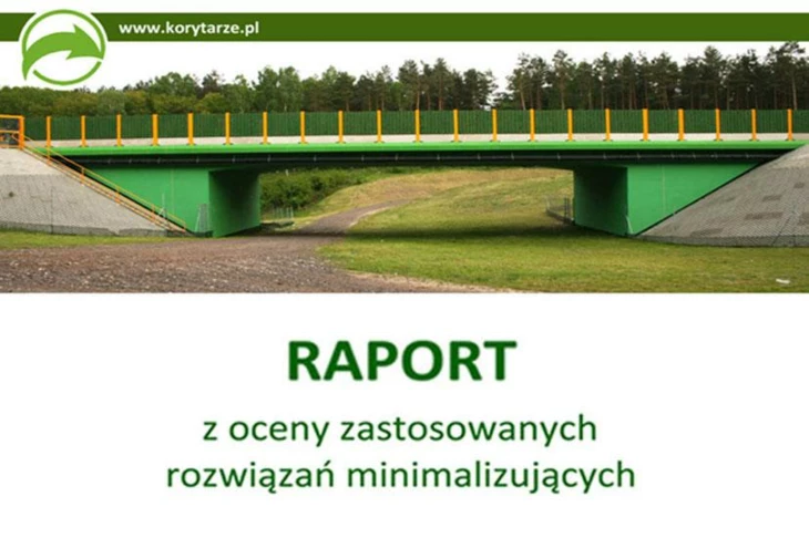 raportikona_1.jpg