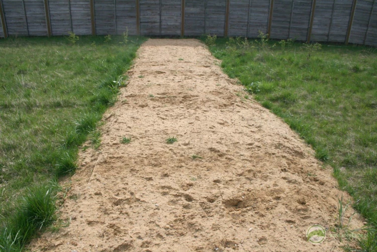 Tropy jeleni i dzików na powierzchni przejścia górnego – na pasie piaszczystym wykorzystywanym w...