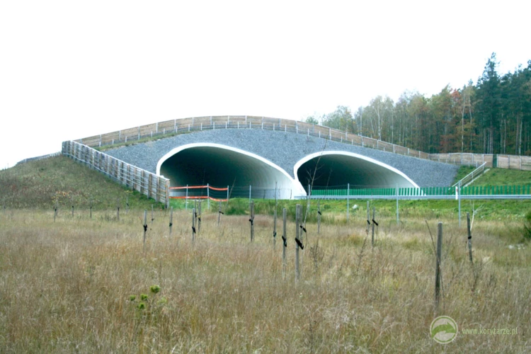 31-Pierwsze przejścia górne przy drogach Dolnego Śląska powstały nad autostradą A4, odcinek: Zgorzelec-Krzyżowa....