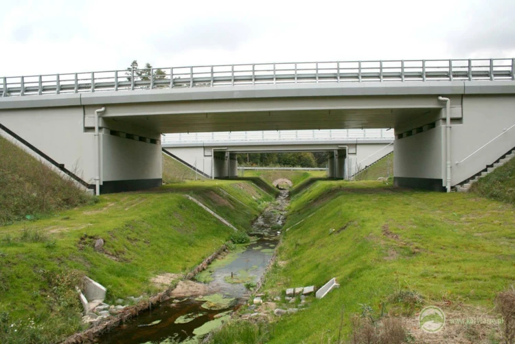 60-Dolne przejścia dla średnich zwierząt pod drogą ekspresową S-3, odcinek: Pyrzyce-Gorzów Wlkp....
