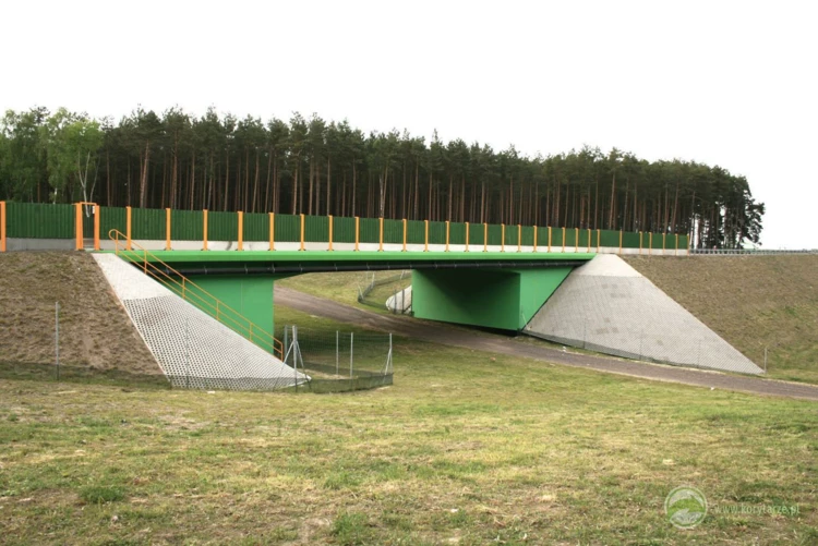 110-Przejście dolne dla średnich zwierząt zespolone z droga gospodarczą w ciągu drogi DK24, odcinek:...