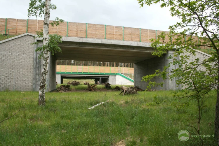11-Dolne przejścia dla dużych zwierząt po autostradą A1, odcinek: Czerniewice-Odolion oraz drogą...