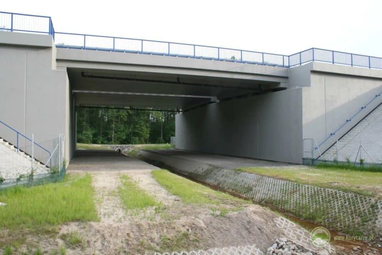 36-Przejścia dolne zespolone z przejazdami gospodarczymi pod autostradą A2, odcinek: Nowy Tomyśl-Świecko...