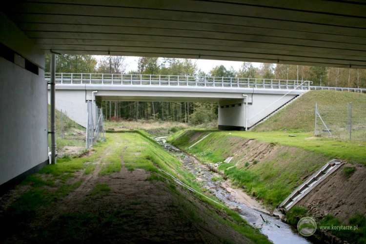 61-Dolne przejścia dla średnich zwierząt pod drogą ekspresową S-3, odcinek: Pyrzyce-Gorzów Wlkp....