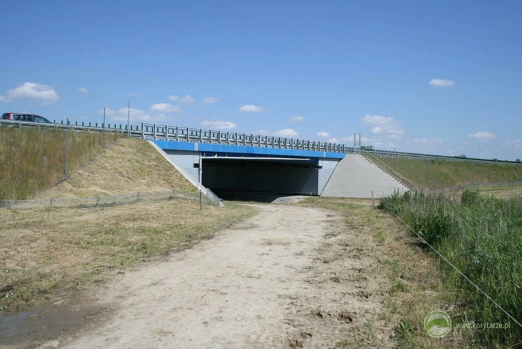 86-Przejście dolne dla średnich zwierząt pod drogą ekspresową S-7, odcinek: Pasłęk-Miłomłyn