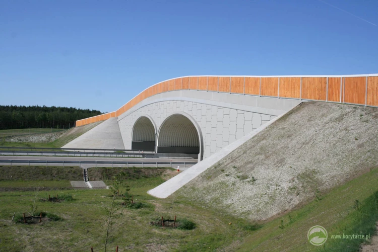 33-Najlepsze przejścia górne powstały dotychczas przy autostradzie A2, odcinek: Nowy Tomyśl-Świecko...