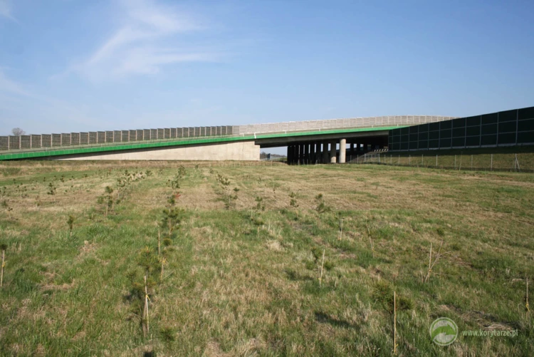 83-System górnych przejść przy autostradzie A4, odcinek: Tarnów-Rzeszów tworzy łącznie 6 obiektów...