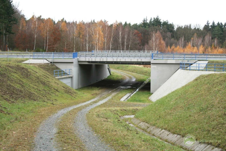 37-Przejścia dolne zespolone z przejazdami gospodarczymi pod autostradą A2, odcinek: Nowy Tomyśl-Świecko...