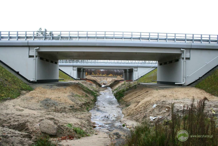 62-Dolne przejścia dla średnich zwierząt pod drogą ekspresową S-3, odcinek: Pyrzyce-Gorzów Wlkp....