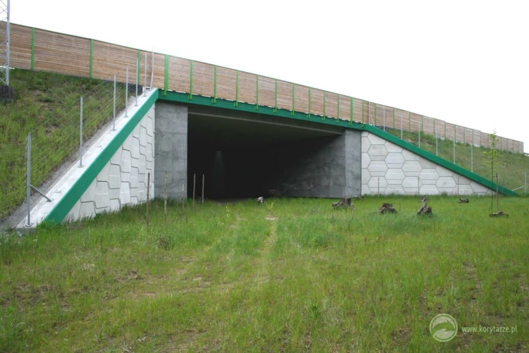 13-Dolne przejścia dla dużych zwierząt po autostradą A1, odcinek: Czerniewice-Odolion oraz drogą...