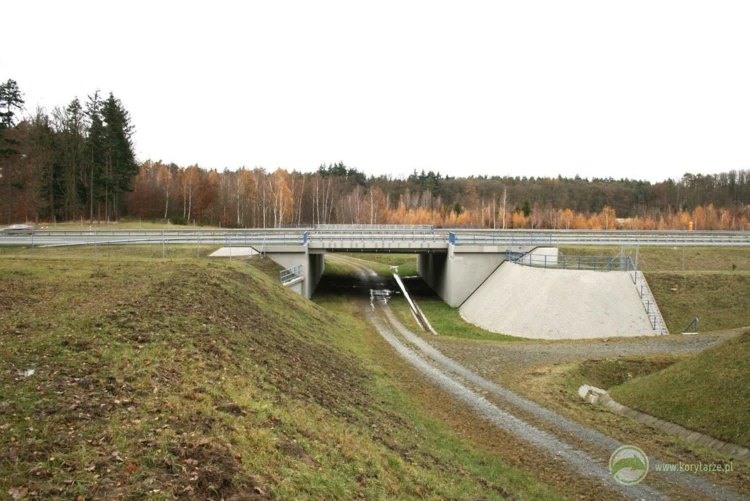 38-Przejścia dolne zespolone z przejazdami gospodarczymi pod autostradą A2, odcinek: Nowy Tomyśl-Świecko...