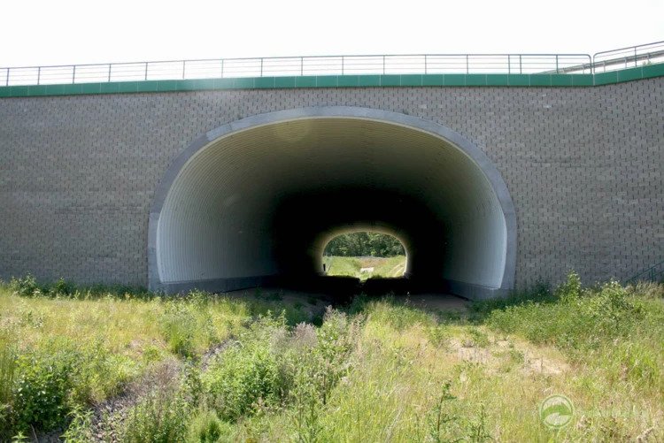 88-Nietypowe przejście dla dużych zwierząt pod drogą ekspresową S-7, odcinek: Pasłęk-Miłomłyn...