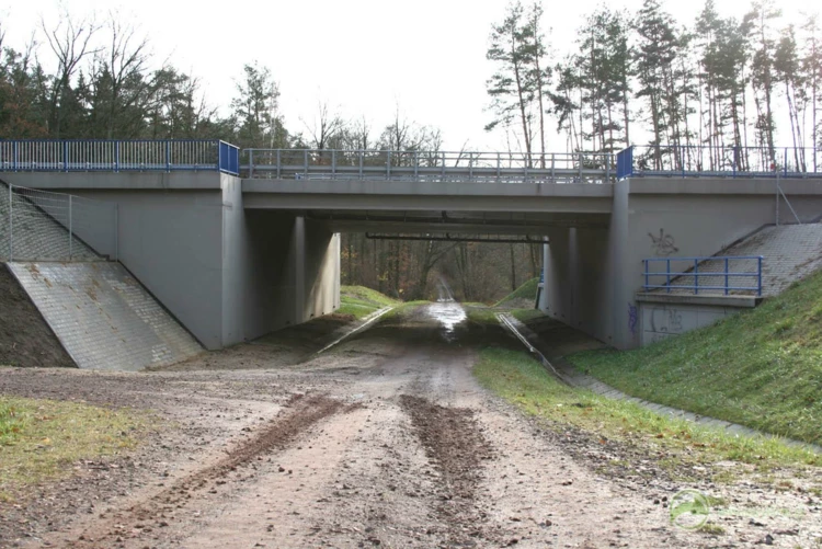 39-Przejścia dolne zespolone z przejazdami gospodarczymi pod autostradą A2, odcinek: Nowy Tomyśl-Świecko...