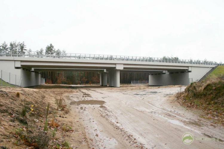 64-Przejście dolne dla dużych zwierząt pod drogą ekspresową S-3, odcinek: Myślibórz-Gorzów Wlkp....