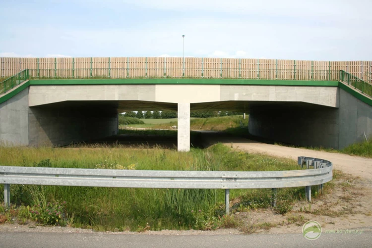 89-Przejścia dolne dla dużych zwierząt pod drogą ekspresową S-7, odcinek: Miłomłyn-Pasłęk