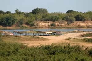 Szlak migracyjny jeleni wzdłuż koryta cieku na powierzchni przejścia dolnego – pozostawianie skarp...