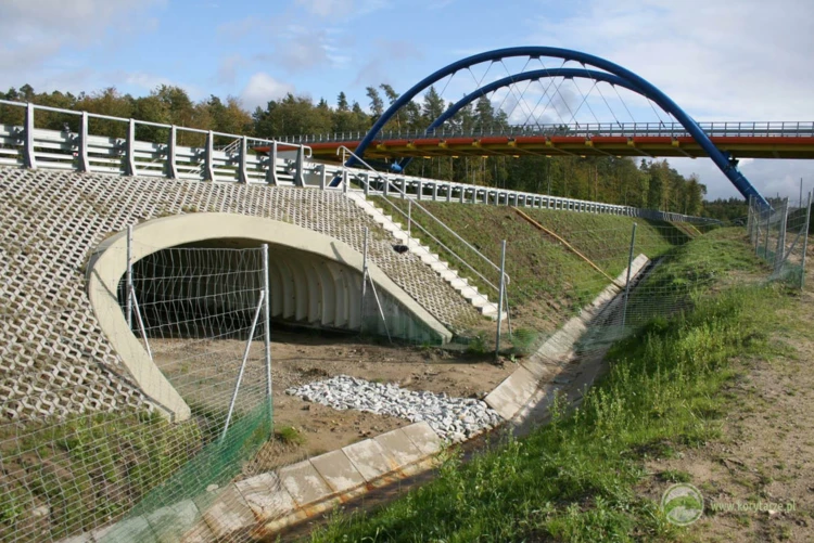 65-Przejścia dolne dla średnich zwierząt pod drogą ekspresową S-3, odcinek: Myślibórz-Gorzów Wlkp.