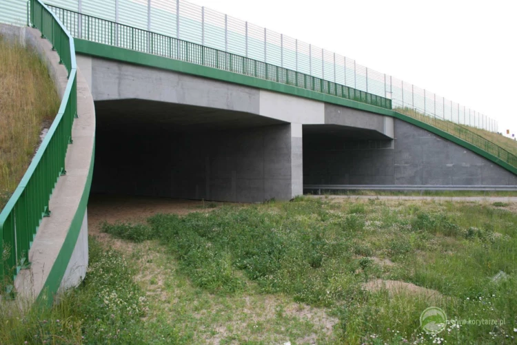 90-Przejścia dolne dla dużych zwierząt pod drogą ekspresową S-7, odcinek: Miłomłyn-Pasłęk