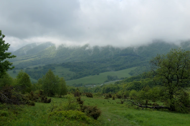 Bieszczady Przełęcz Wyżna Fot. Alan Weiss