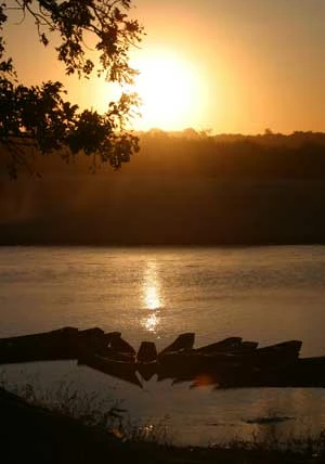 Szlak migracyjny jeleni wzdłuż koryta cieku na powierzchni przejścia dolnego – pozostawianie skarp...