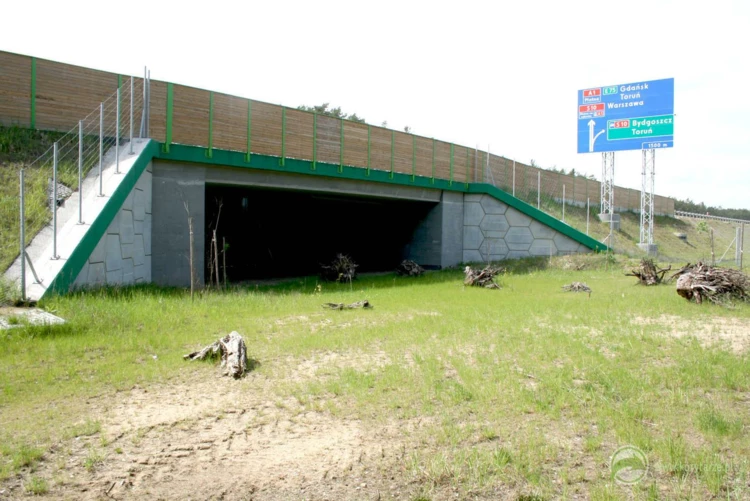 16-Dolne przejście dla średnich zwierząt pod autostradą A1, odcinek: Czerniewice-Odolion. Przejście...