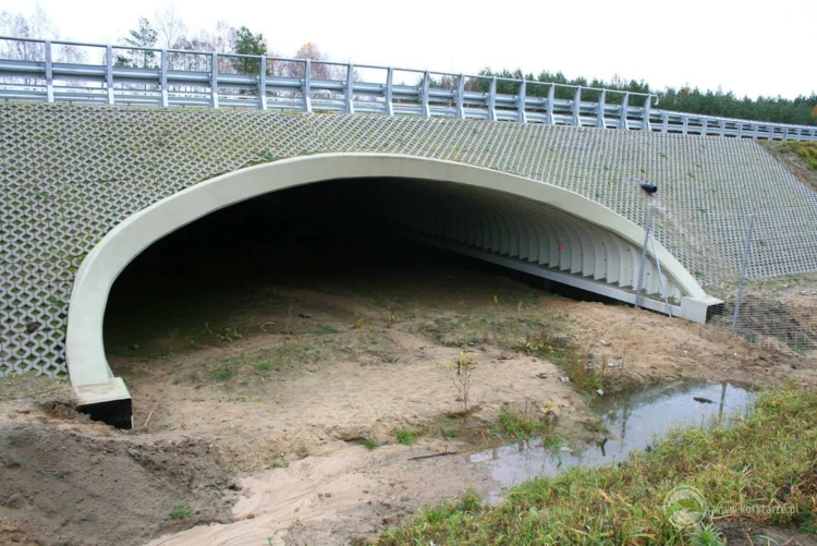 66-Przejścia dolne dla średnich zwierząt pod drogą ekspresową S-3, odcinek: Myślibórz-Gorzów Wlkp.