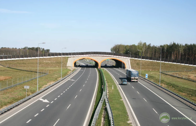 63-Przejście dla dużych zwierząt niekorzystnie zlokalizowane w obszarze Węzła Brzesko przy autostradzie...