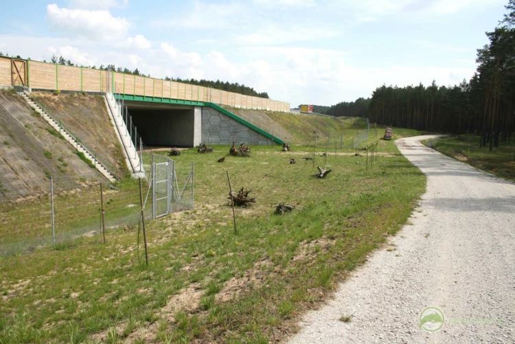17-Dolne przejście dla dużych zwierząt po autostradą A1, odcinek: Czerniewice-Odolion wraz z prawidłowo...
