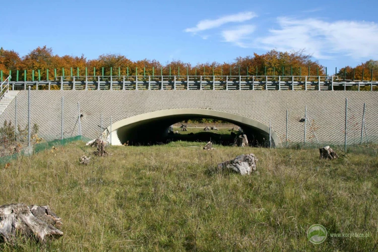 67-Przejścia dolne dla średnich zwierząt pod drogą ekspresową S-3, odcinek: Myślibórz-Gorzów Wlkp.